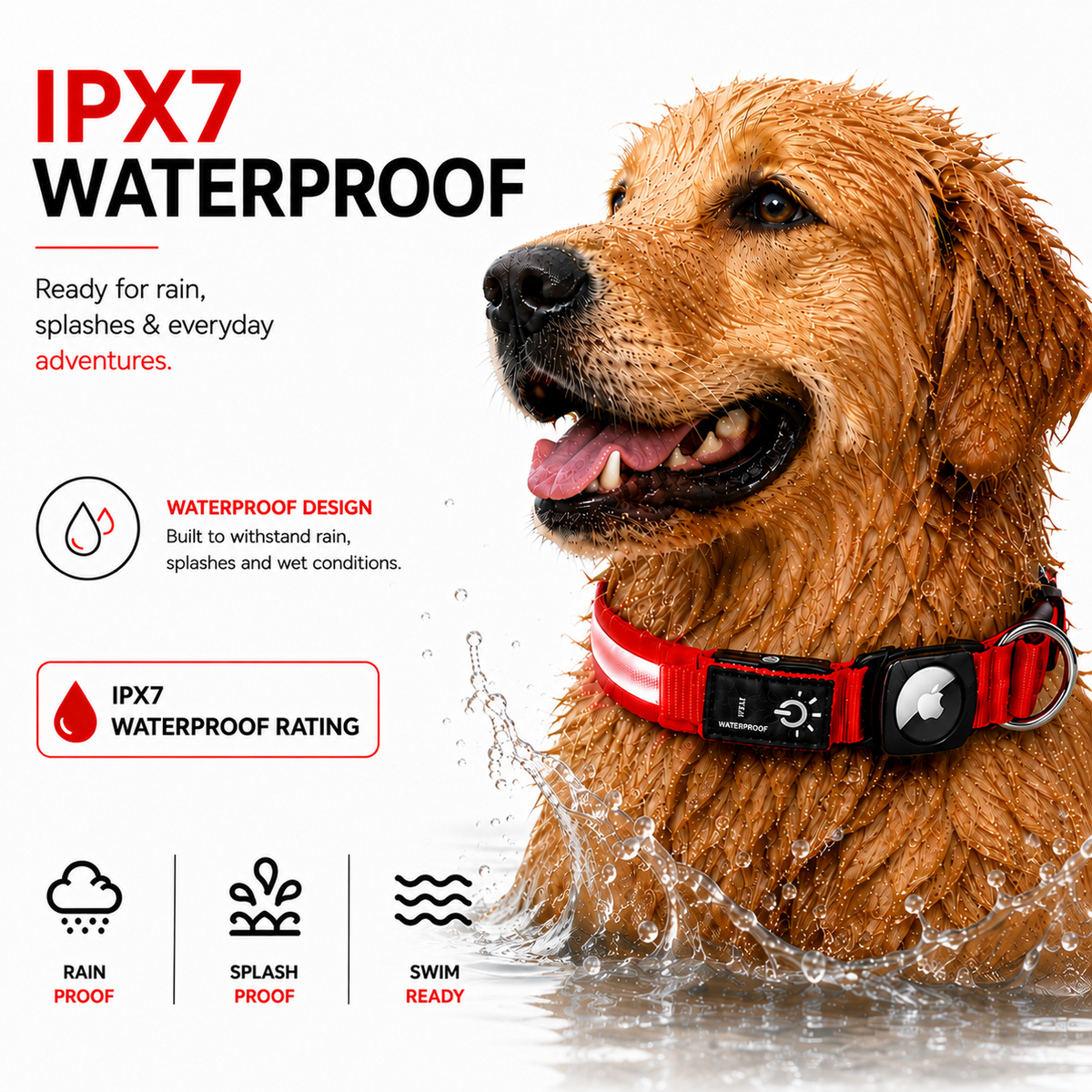 LED Tracker Ready Dog Collar