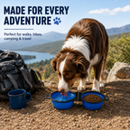 Foldable Double Dog Travel Bowl